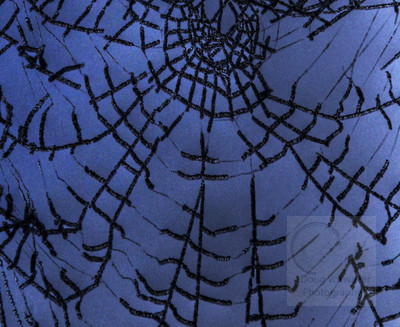 IMG_1347_ice web a