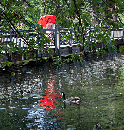 M with ducks_8520