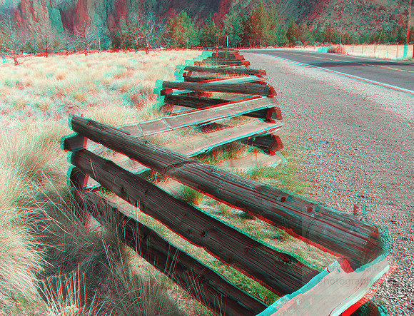 Fence_6452