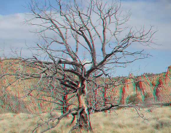 LoneTree 6456
