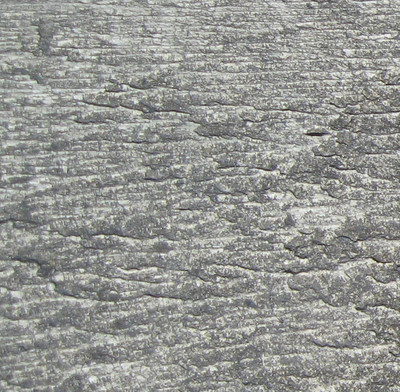 Texture in gray 2 IMG_0802