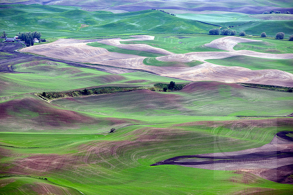 Rolling hills 8269