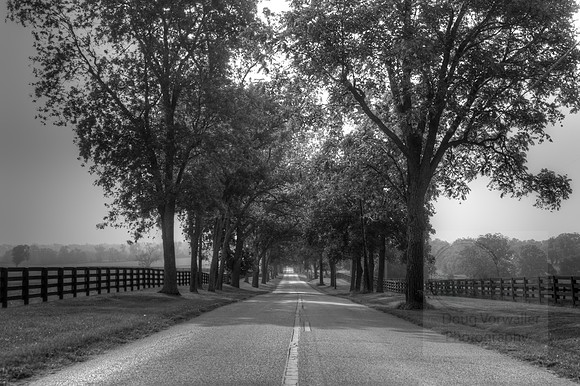TN Back roads 4248-0
