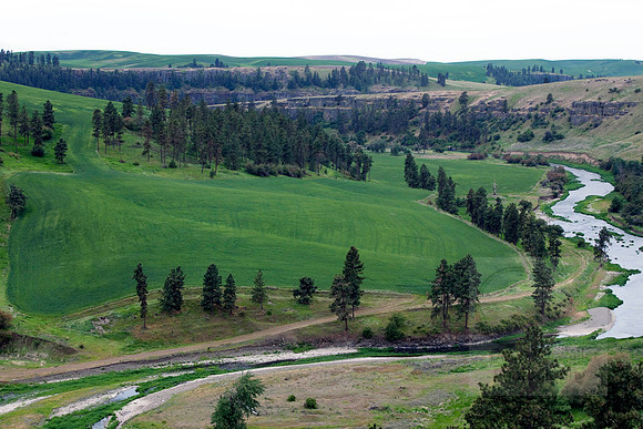 River valley 8010