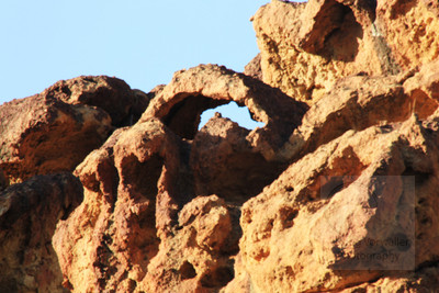 Day 3 - Arch in Leslie Gulch 7359