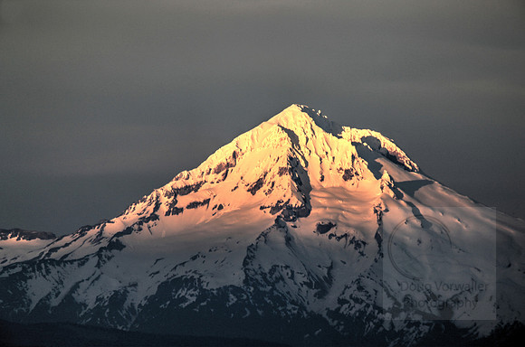 Mt. Hood Sunset 4929-31te