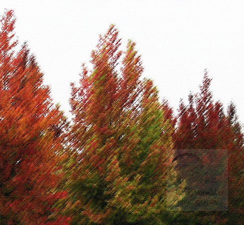IMG_1646 cropped art