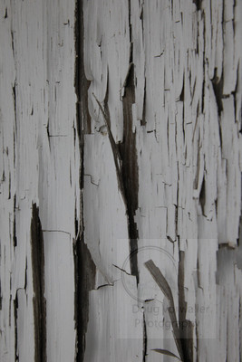Shaniko - door Pint 0924