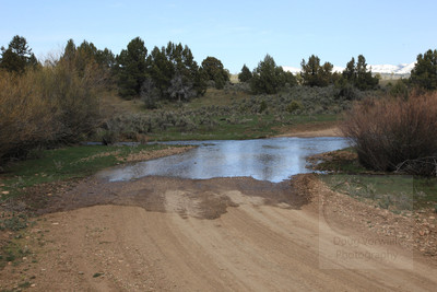 Day 5 - Back road to Silver City - 8005