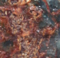 Texture rust iron IMG_4631