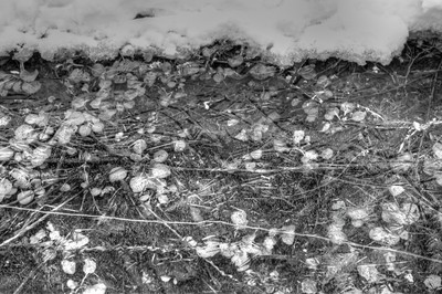 IMG_1595_mix