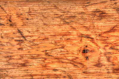 IMG_1695_wood texture