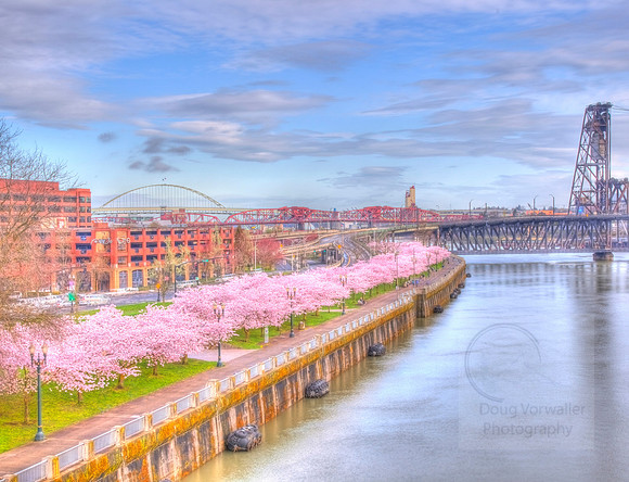 IMG_3372hdrAnd11more_tonemapped two