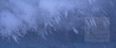 IMG_1440_mix - iced